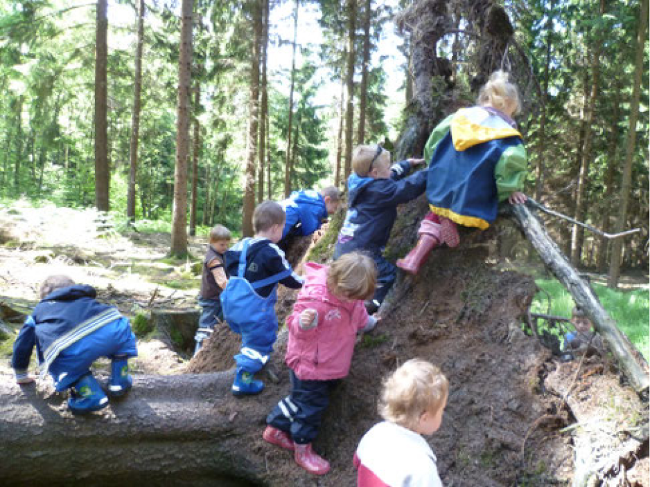 Ev-Kita-Drabenderhoehe-Wald-Wurzel-Kinder